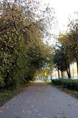  Cityscape on an autumn sunny day in warm weather