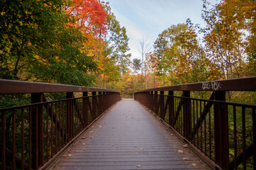 Beautiful colours in the Ravine