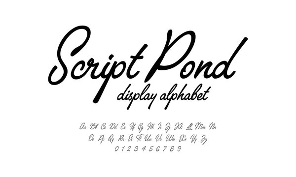 Script font display alphabet. Handwriting style fonts set. Typography a to z and numbers.