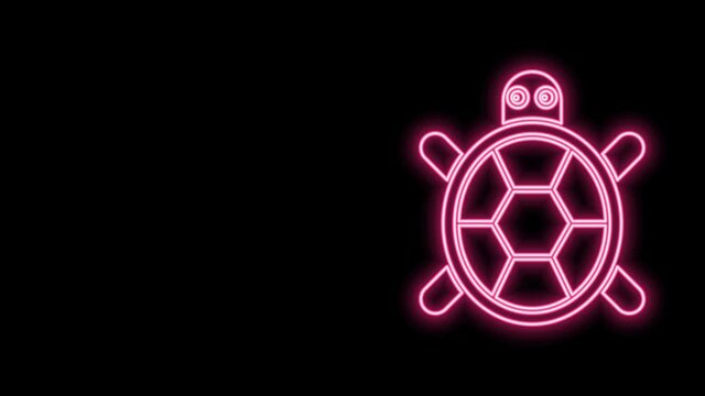 Glowing neon line Turtle icon isolated on black background. 4K Video motion graphic animation