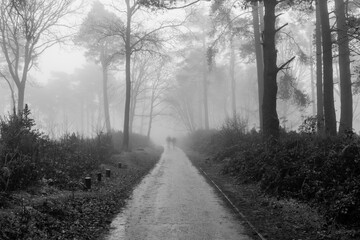 Ghostly couple walking on a misty woodland path. Mental health awareness. Lonely.