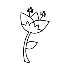 flower and leafs line style icon