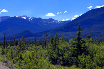 Fototapeta na wymiar Alberta, Canada - Highway 16 Scenery through the Rocky Mountains