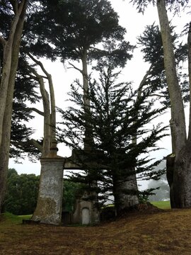 Old Chinese Stone Crypt Monument