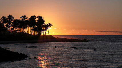 Scenic sunset over Pacific ocean viewed from Waiulua bay, BIg Island, Hawaii Setting sun send it's rays through a row of palm trees.