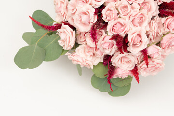 Pink roses on white background
