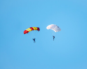 Two parachutists with white parachute floats slowly at low altitude on the background of clear sky