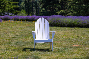 White plastic garden chair in the middle of a lavender field