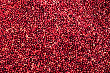 Fresh ripe cranberries as natural background, elevated top view