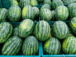 watermelons at the market
