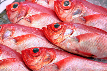 魚売り場の金目鯛 キンメダイ  Red bream in Seafood market splendid alfonsino