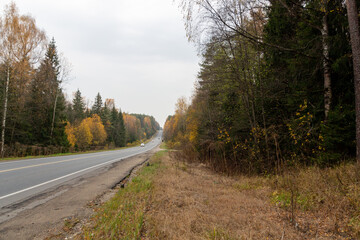 road in autumn forest with green and yellow trees in cloudy day