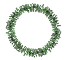 Beautiful Christmas tree branch on white background