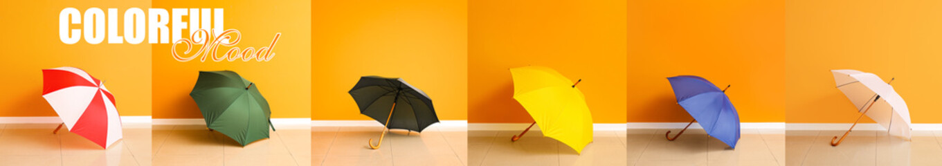 Stylish umbrellas near orange wall