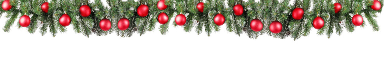 Beautiful Christmas tree branches on white background
