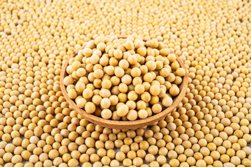Full screen of golden soybeans