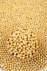 Full screen of golden soybeans