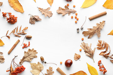 Beautiful autumn composition on white background