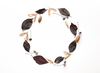 Beautiful autumn composition on white background