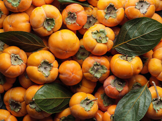 Lots of bright ripe persimmons in the box. Close-up. Seasonal autumn fruit. Top view. Close-up.