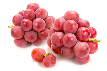 クイーンニーナ葡萄