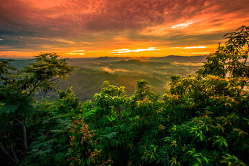 Natural high angle panoramic background With an atmosphere surrounded by mountains and trees, with a blurred wind, cool