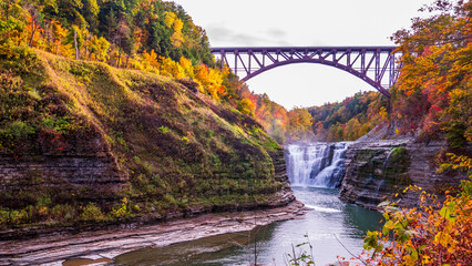 bridge over the river