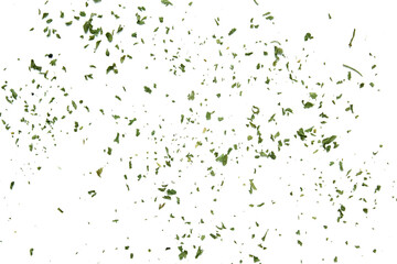 Dried Italian parsley, isolated on white background