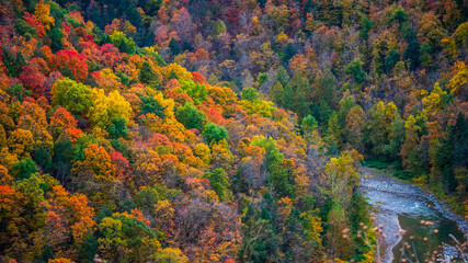 Fototapeta premium autumn landscape