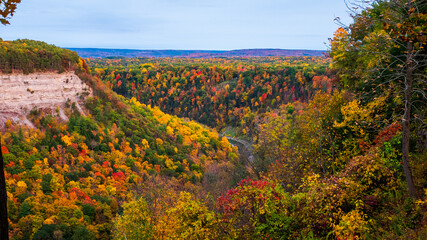 Fototapeta premium AUTMUMN MEADOW