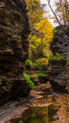 waterfall in the forest