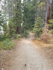 Fototapeta premium Castle Lake Trail