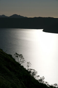 月光の下の湖。銀色に輝く湖面、光に際立つ木の影。