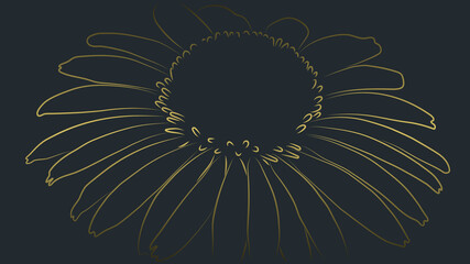 Black and gold pattern background. Luxury echinacea wallpaper design vector.