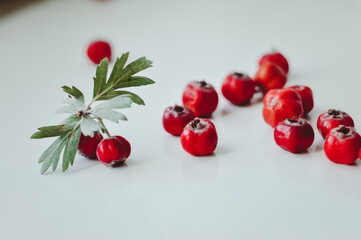 hawthorn haws or berries with leaves isolated on white background