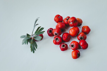 hawthorn haws or berries with leaves isolated on white background