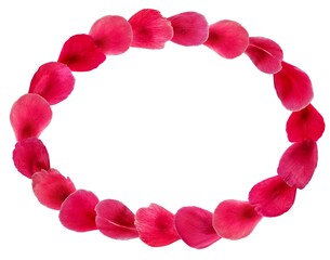 Empty oval frame template made of deep pink flower petals. Floral design element for holiday spring summer cards isolated on white background