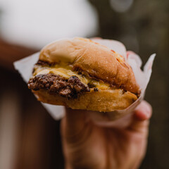 pulled pork sandwich