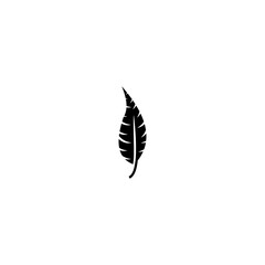 feather icon vector symbol