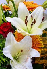 Obraz na płótnie Canvas A beautiful bouquet of white lilies and orange gerberas