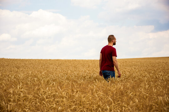 A young man crosses a wheat field lonely and alone. He seems to be deep in thought.