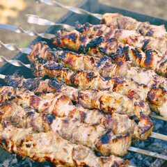 Roasted meat cooked at barbecue and skewers during a picnic