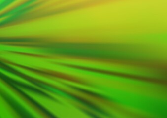 Light Green vector backdrop with long lines.