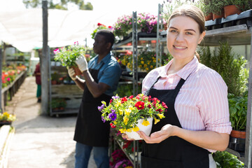 Portrait of florist woman working in sunny greenhouse full of flowers