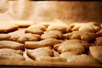 Delicious Christmas cookies baked in the oven and lie on the cooking paper. Traditional holidays kitchen