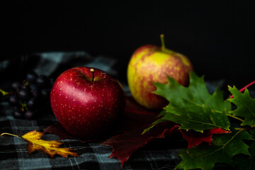 autumn fruit harvest, red and green apples on dark background, low key artistic still life
