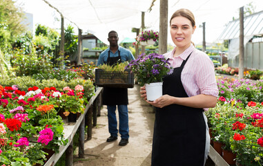 Young positive female worker gardening in glasshouse, checking flowers