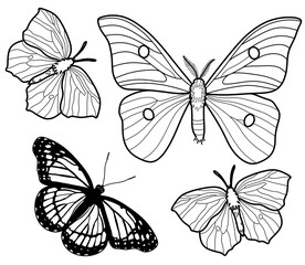 Coloring antistress page for adults 
and children. Butterflies set