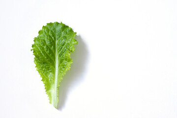 Single simple fresh lettuce leaf on white surface