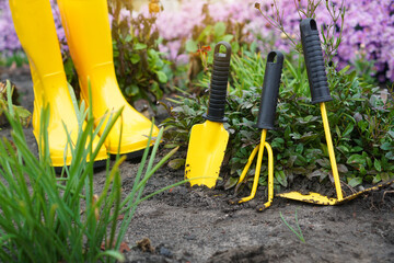 Landscaping background. Garden tools on the soil in a garden.